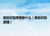 条码识别原理是什么（条码识别原理）