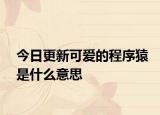 今日更新可爱的程序猿是什么意思