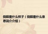 倒膜是什么样子（倒膜是什么意思简介介绍）