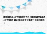 黑客攻防从入门到精通电子书（黑客攻防实战从入门到精通 2019年化学工业出版社出版的图书）