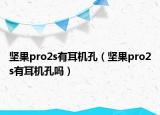 坚果pro2s有耳机孔（坚果pro2s有耳机孔吗）