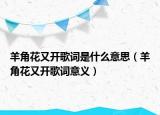 羊角花又开歌词是什么意思（羊角花又开歌词意义）
