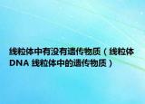线粒体中有没有遗传物质（线粒体DNA 线粒体中的遗传物质）