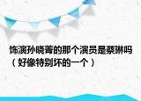 饰演孙晓菁的那个演员是蔡琳吗（好像特别坏的一个）