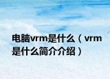 电脑vrm是什么（vrm是什么简介介绍）