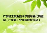 广东轻工职业技术学院专业代码查询（广东轻工业学院院校代码）