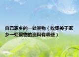 自己家乡的一处景物（收集关于家乡一处景物的资料有哪些）