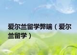 爱尔兰留学弊端（爱尔兰留学）