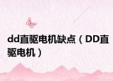 dd直驱电机缺点（DD直驱电机）