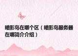 暗影岛在哪个区（暗影岛服务器在哪简介介绍）