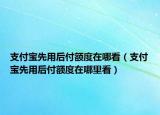 支付宝先用后付额度在哪看（支付宝先用后付额度在哪里看）
