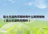 昆士兰温热带雨林有什么稀有植物（昆士兰温热带雨林）