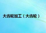 大齿轮加工（大齿轮）