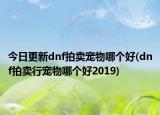 今日更新dnf拍卖宠物哪个好(dnf拍卖行宠物哪个好2019)