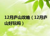 12月庐山攻略（12月庐山好玩吗）