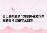 当日最新消息 北京四环主路现奔跑的白马 这是怎么回事