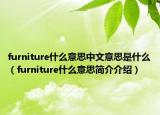 furniture什么意思中文意思是什么（furniture什么意思简介介绍）