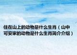 住在山上的动物是什么生肖（山中可安家的动物是什么生肖简介介绍）