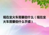 现在坐火车需要些什么（现在坐火车需要些什么手续）