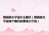 狸猫换太子是什么朝代（狸猫换太子是哪个朝代的事简介介绍）