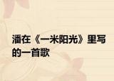 潘在《一米阳光》里写的一首歌