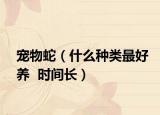 宠物蛇（什么种类最好养  时间长）