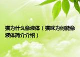 猫为什么像液体（猫咪为何能像液体简介介绍）