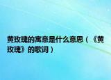 黄玫瑰的寓意是什么意思（《黄玫瑰》的歌词）