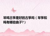 琴鸣古筝是好的古筝吗（琴筝和鸣有哪些曲子?）