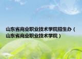 山东省商业职业技术学院招生办（山东省商业职业技术学院）