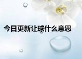 今日更新让球什么意思