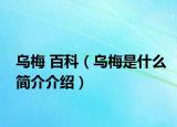 乌梅 百科（乌梅是什么简介介绍）