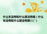 什么车没有轮什么猪没有嘴（什么车没有轮什么猪没有嘴\