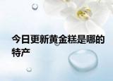 今日更新黄金糕是哪的特产