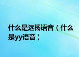 什么是远扬语音（什么是yy语音）