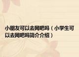 小朋友可以去网吧吗（小学生可以去网吧吗简介介绍）