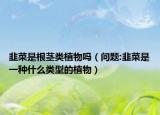 韭菜是根茎类植物吗（问题:韭菜是一种什么类型的植物）