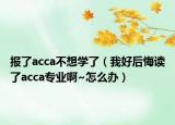 报了acca不想学了（我好后悔读了acca专业啊~怎么办）