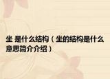坐 是什么结构（坐的结构是什么意思简介介绍）