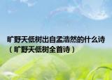 旷野天低树出自孟浩然的什么诗（旷野天低树全首诗）
