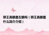 邪王真眼是左眼吗（邪王真眼是什么简介介绍）