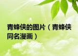 青蜂侠的图片（青蜂侠 同名漫画）