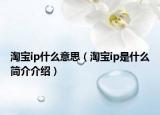 淘宝ip什么意思（淘宝ip是什么简介介绍）