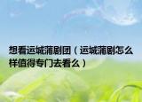 想看运城蒲剧团（运城蒲剧怎么样值得专门去看么）