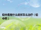 铅中毒有什么症状怎么治疗（铅 中药）