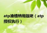 atp瀹樻柟缃戠珯（atp 授权执行）