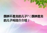 麒麟不是龙的儿子?（麒麟是龙的儿子吗简介介绍）