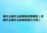 很什么很什么的词语还有哪些（求很什么很什么的词语简介介绍）