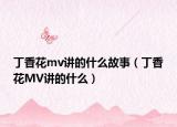 丁香花mv讲的什么故事（丁香花MV讲的什么）