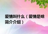 爱情叫什么（爱情是啥简介介绍）